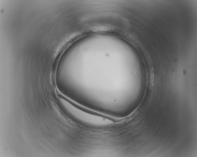 X0000051920491200507152100