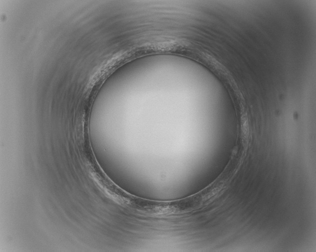 X0000051920493200507152100