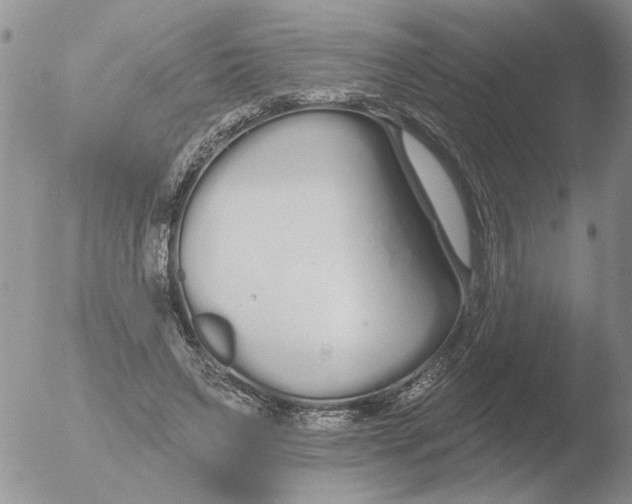 X0000051920495200507152100