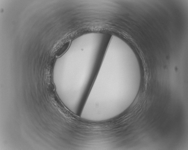 X0000051920497200507152100