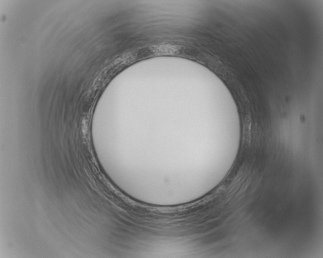 X0000051920498200507152100