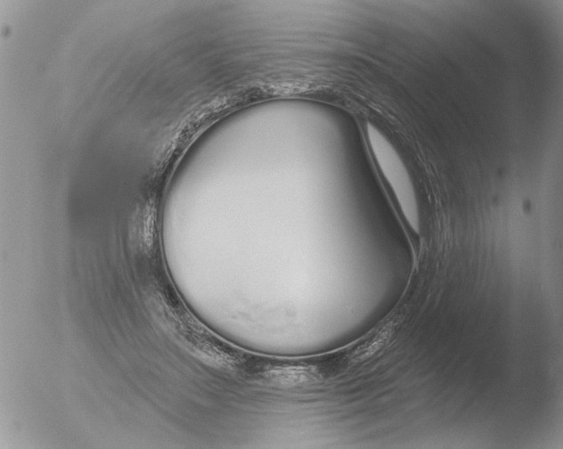 X0000051920499200507152100