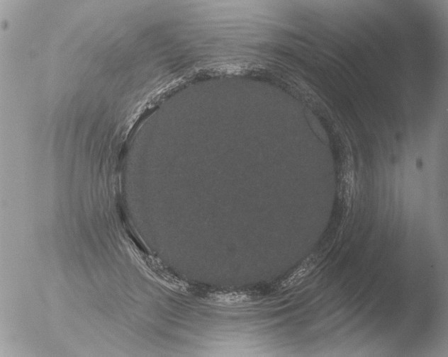 X0000051920500200507152100