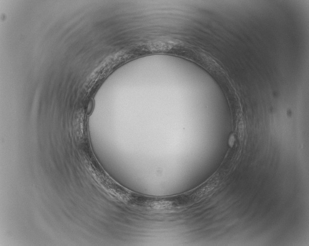 X0000051920501200507152100