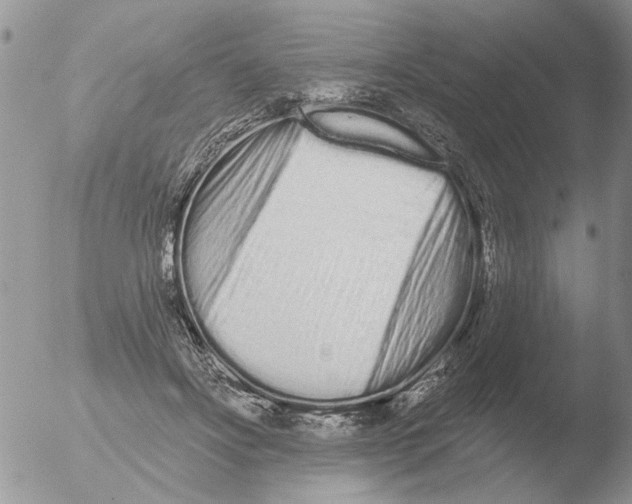 X0000051920502200507152100