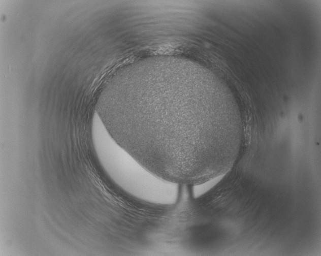 X0000051920503200507152100