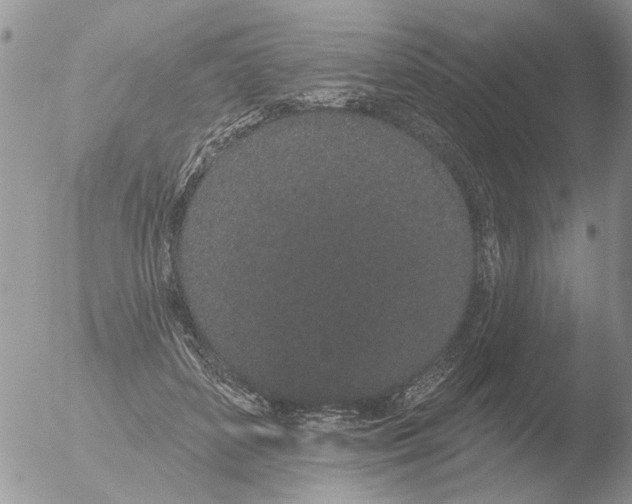 X0000051920504200507152100