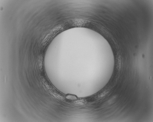 X0000051920505200507152100