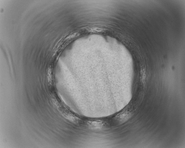 X0000051920506200507152100