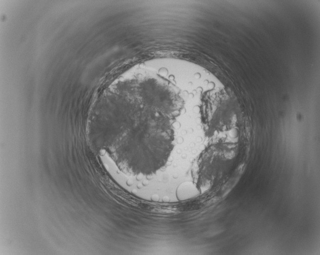 X0000051920507200507152100