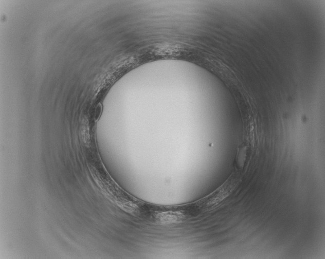 X0000051920508200507152100