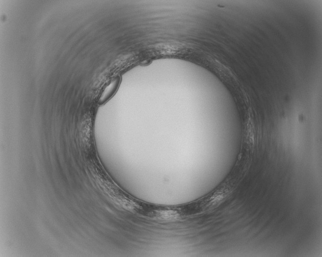 X0000051920509200507152100