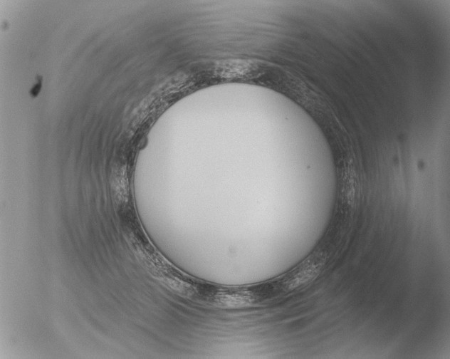 X0000051920510200507152100