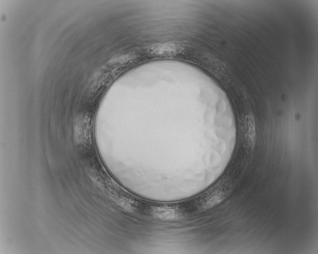 X0000051920511200507152100