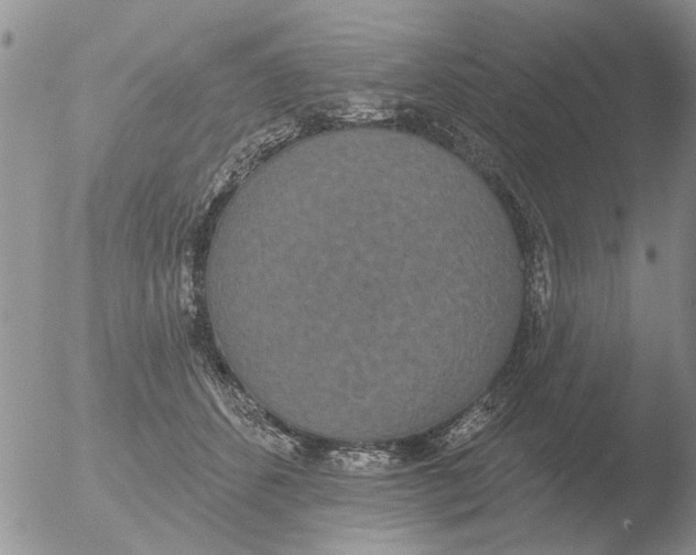 X0000051920512200507152100