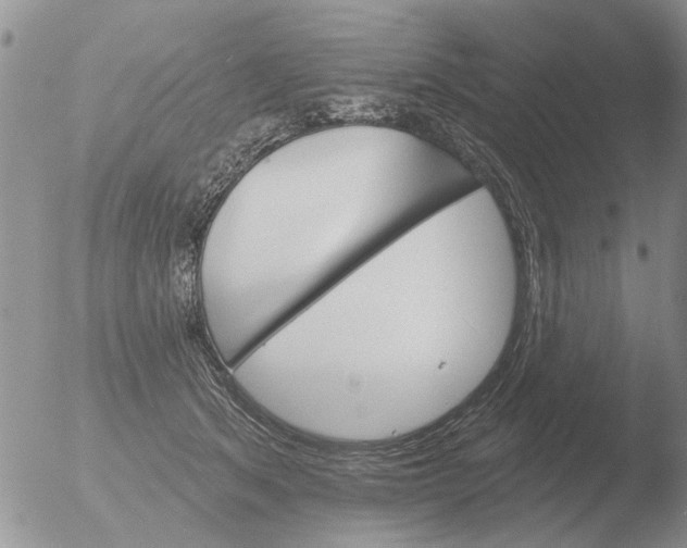 X0000051920513200507152100