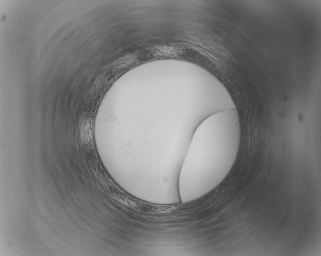 X0000051920514200507152100