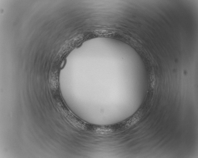 X0000051920515200507152100