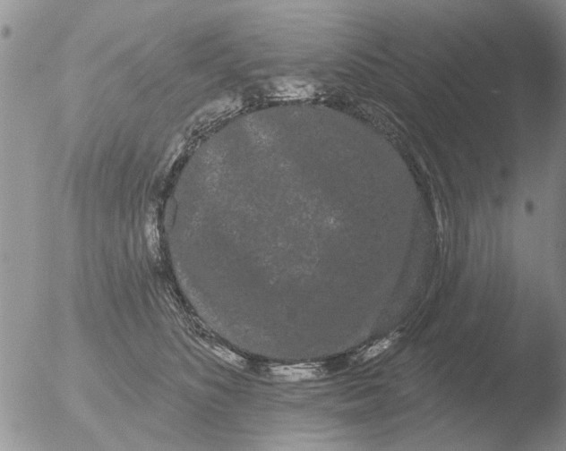 X0000051920516200507152100