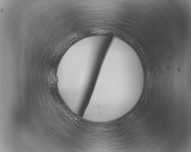 X0000051920517200507152100