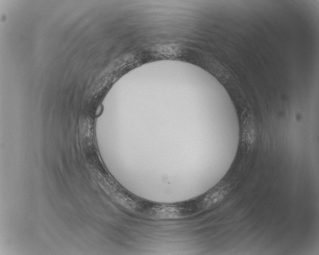 X0000051920518200507152100