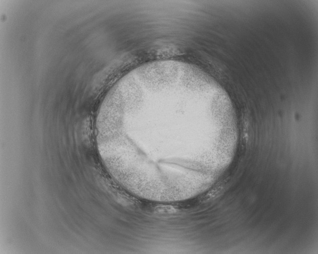 X0000051920519200507152100