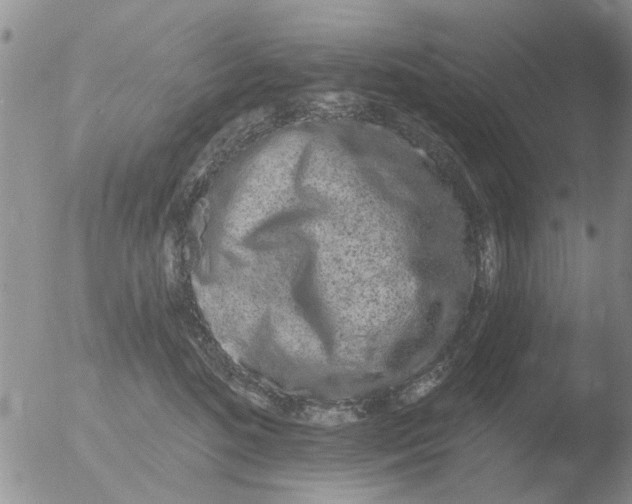 X0000051920520200507152100