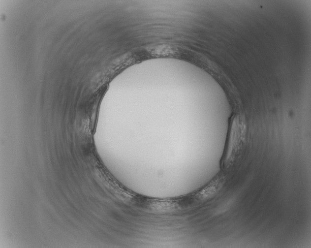 X0000051920521200507152100