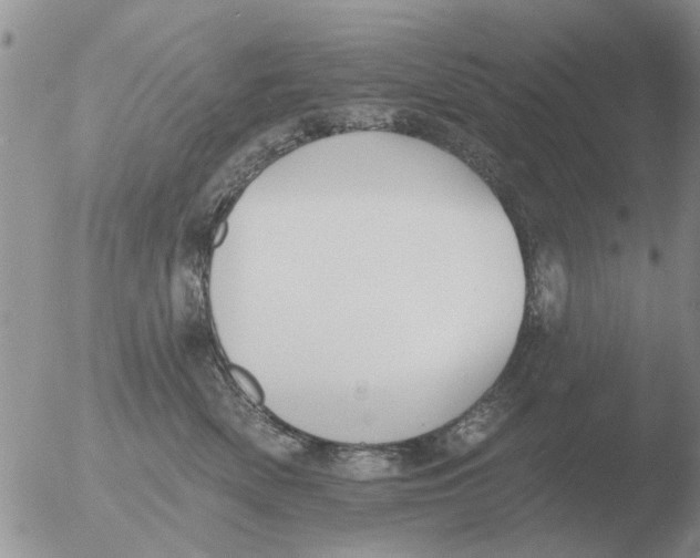 X0000051920522200507152100