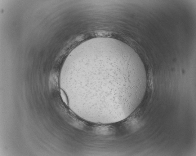 X0000051920523200507152100