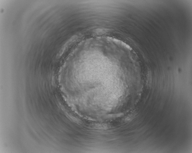 X0000051920524200507152100