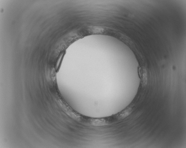 X0000051920525200507152100