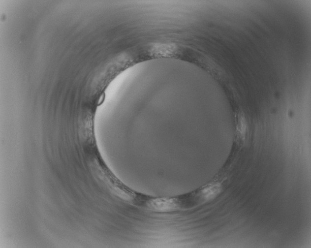 X0000051920526200507152100