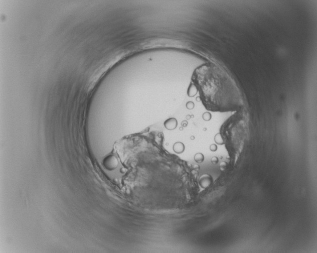 X0000051920529200507152059