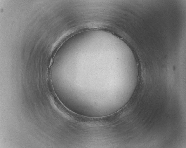 X0000051920530200507152059