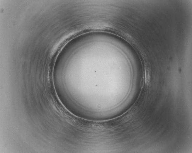 X0000051920531200507152059