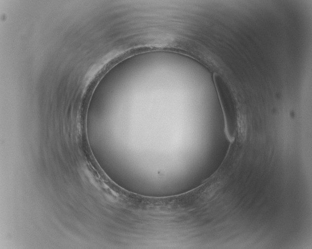 X0000051920532200507152059