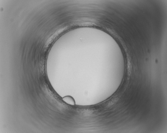 X0000051920533200507152059