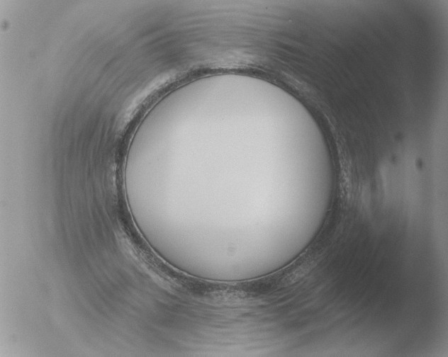 X0000051920535200507152059