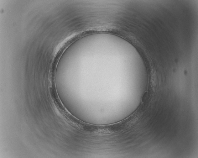 X0000051920536200507152059