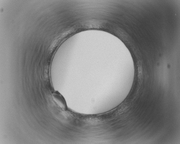 X0000051920537200507152059