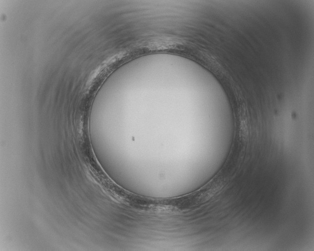 X0000051920539200507152059