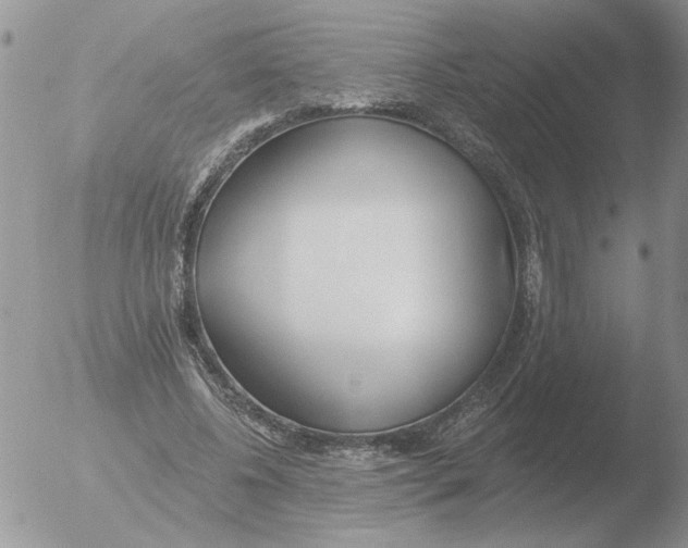 X0000051920540200507152059