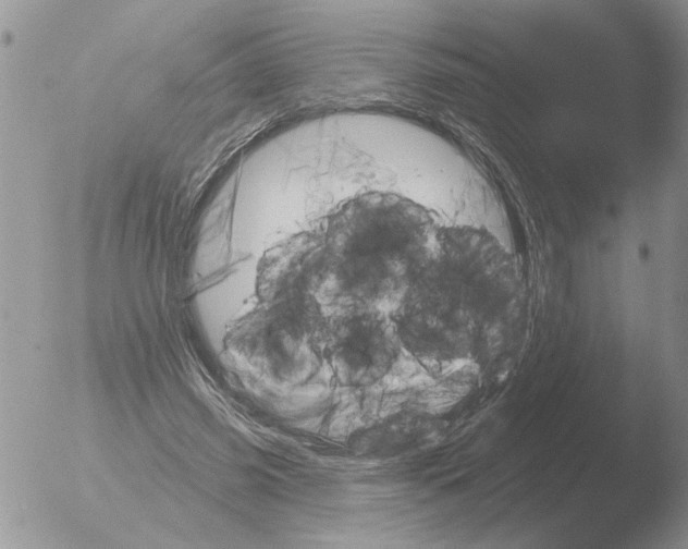 X0000051920541200507152059