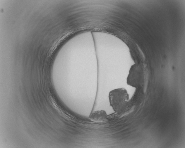 X0000051920542200507152059