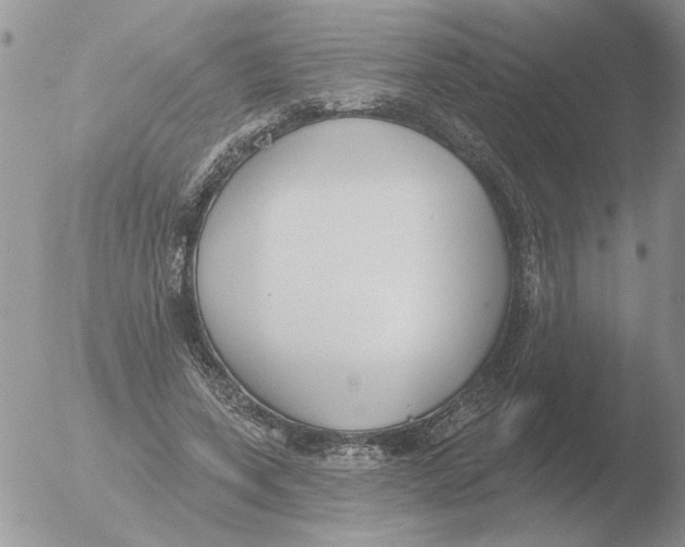 X0000051920543200507152059