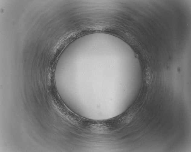 X0000051920544200507152059