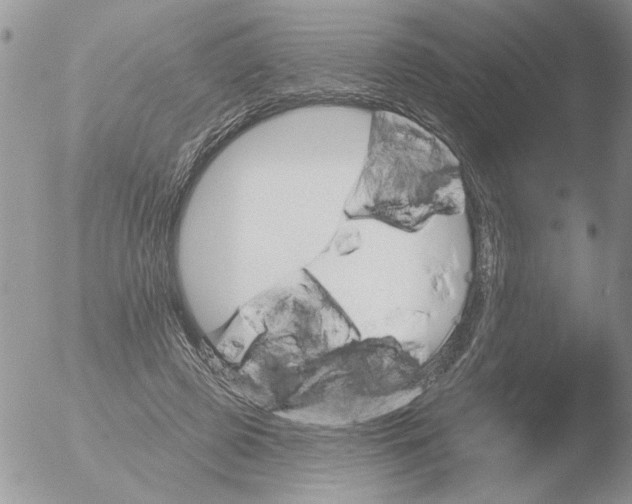 X0000051920545200507152059