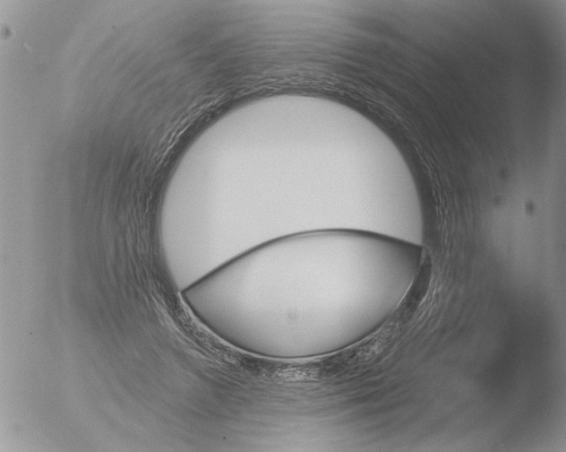 X0000051920546200507152059