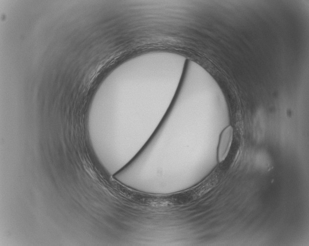 X0000051920547200507152059